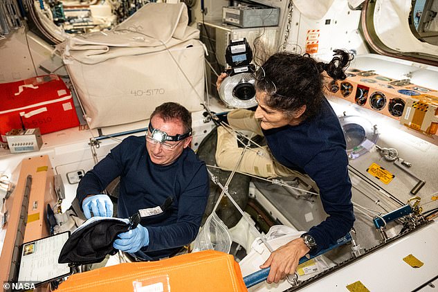 On Saturday, Starliner commander Butch Wilmore (pictured with Suni Williams) radioed down to mission control to report that the Starliner capsule had begun to make a strange sonar-like clang