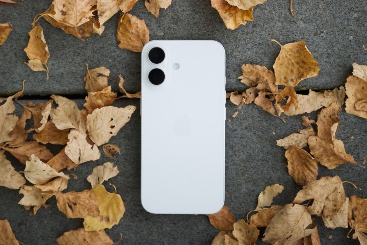 A white iPhone 16 sitting outside, face-down, surrounded by a bunch of leaves.