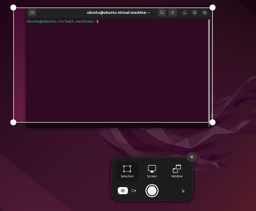 Usint PrintScreen in Ubuntu.