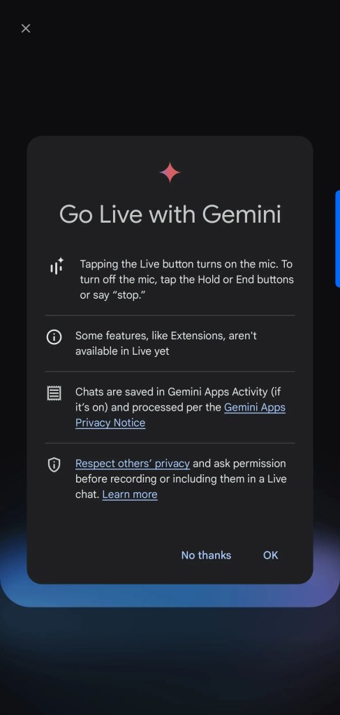 Gemini Live Screenshots (3)