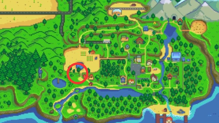 Map circling the Giant Stump location in Stardew Valley.