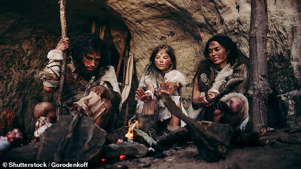 We once lived among Neanderthals but around 40,000 years ago, they disappeared. Reasons for their demise vary, but experts have suggested interbreeding, climate change and violent clashes with humans may be to blame (stock image)