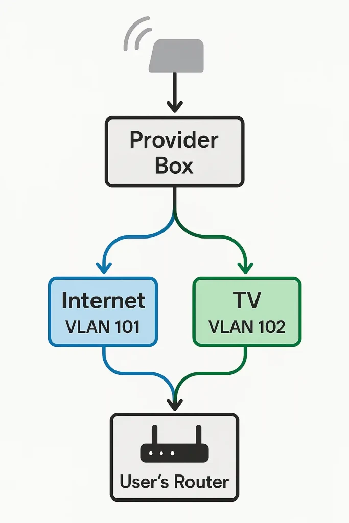 Diagram viser en provider box, der opdeler til internet VLAN 101 og TV VLAN 102, som forbinder til brugerens router.