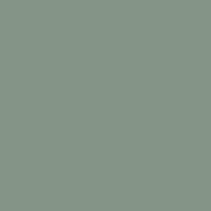 Army Green – MT