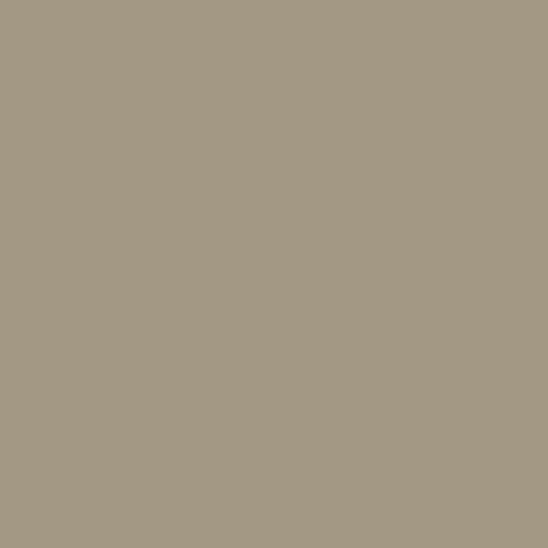 Grå Beige – 10400883