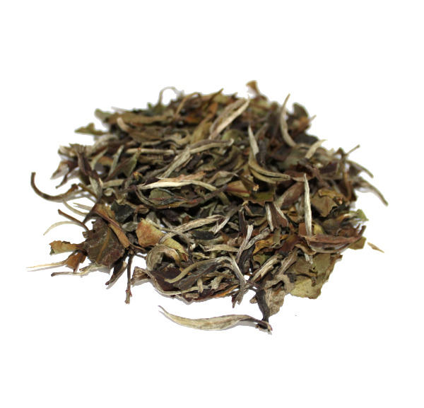 China Pai Mu Tan, Weißer Tee, Bio, Ernte 2025, Provinz Fujian, Hellbraune Tasse, weich-blumig, leicht „brotige“ Note – Bild 3