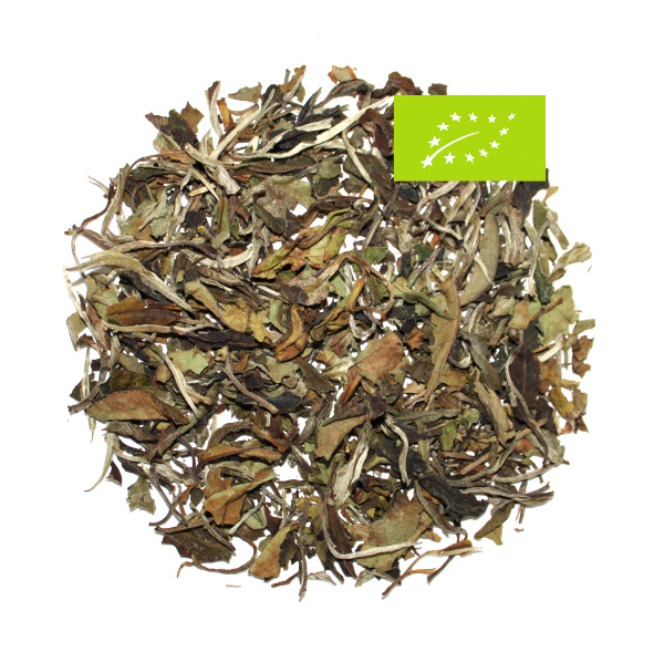 China Pai Mu Tan, Weißer Tee, Bio, Ernte 2025, Provinz Fujian, Hellbraune Tasse, weich-blumig, leicht „brotige“ Note