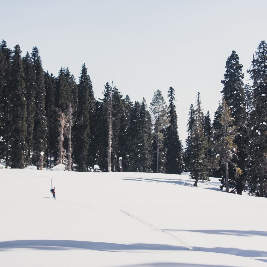 intia_vapaalasku_gulmarg_himalaja