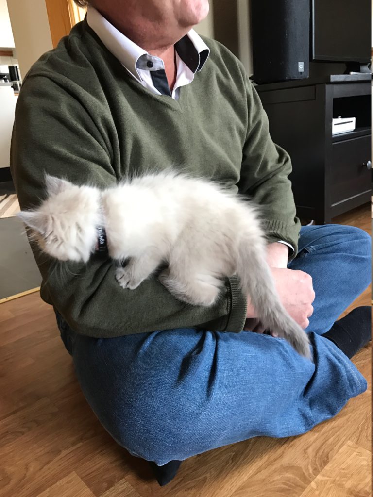 Sookie inspekterar mig