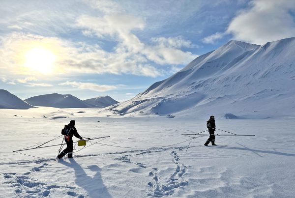 sTEM profiler on Drønbreen glacier, Svalbard