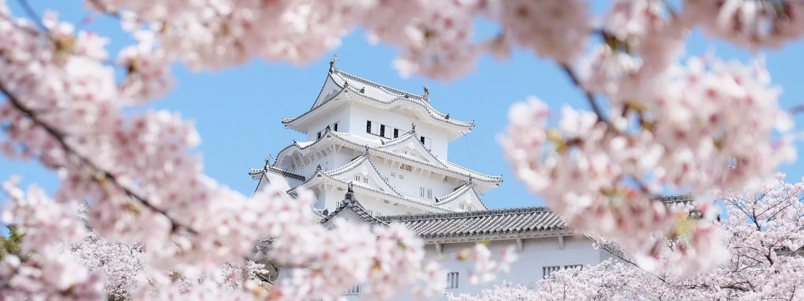 Himeji templet, Kyoto