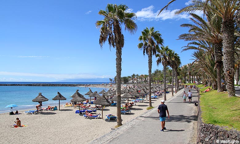 Stoop Editor innovation Playa de las Americas - beach guide | Tenerife Beaches
