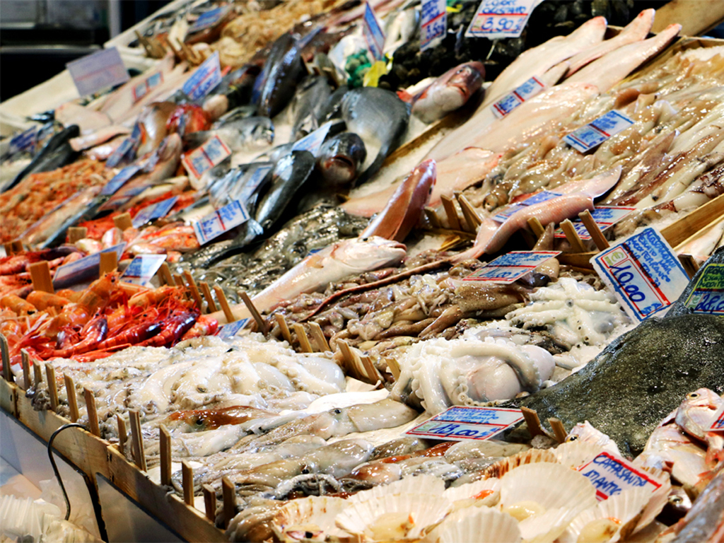 Frischer Fisch und Meeresfrüchte direkt aus dem Mittelmeer