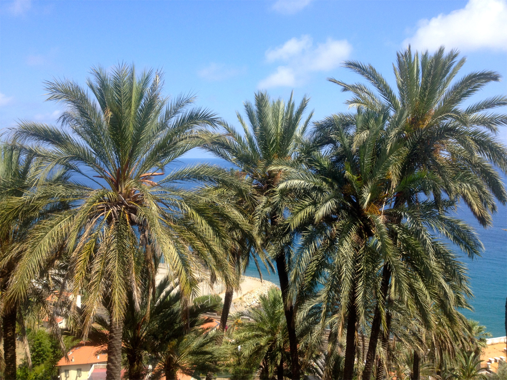 Unter den Palmen an der Riviera