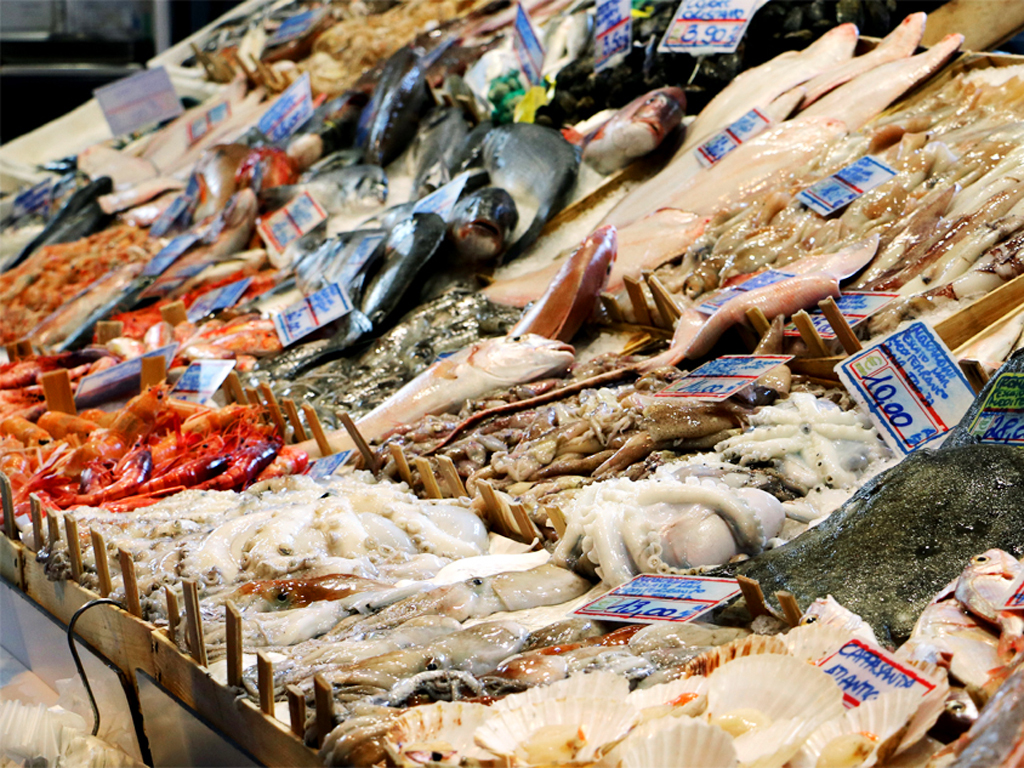 Poissons et fruits de mer frais provenant directement de la mer Méditerranée