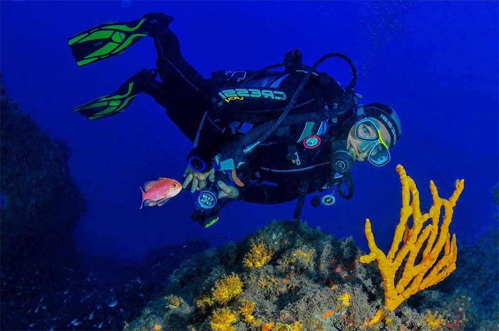 Immersioni nel Mar Mediterraneo