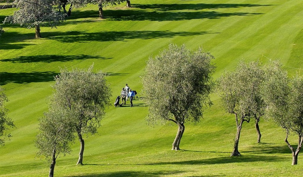 Golf-1