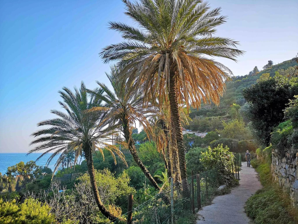 Hiking trail in the hills of Bordighera