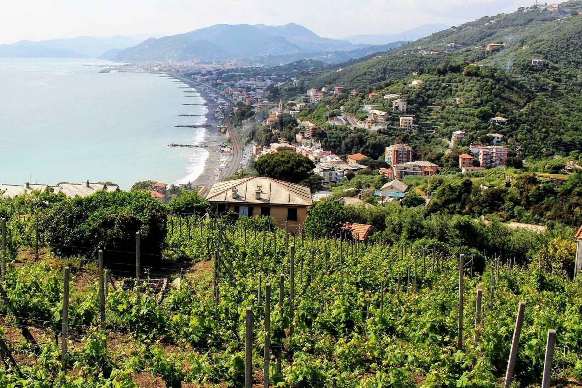 Cantine Bregante à Sestri Levante (GE)