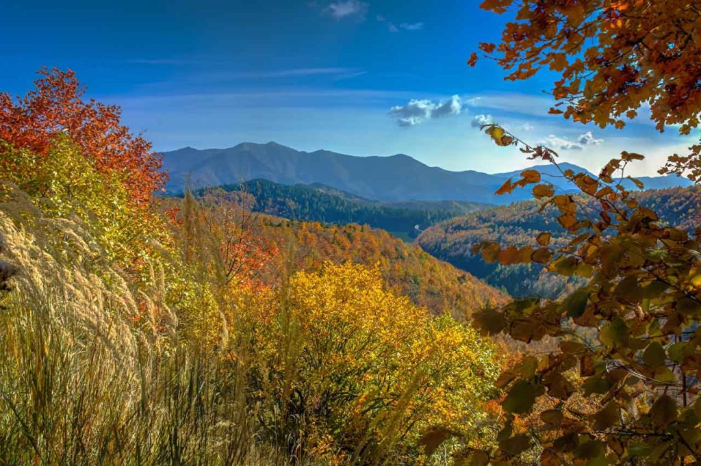 Herbst in Ligurien - Realdo