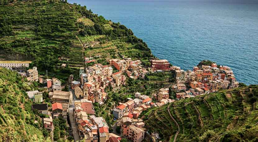 Cinque Terre wines