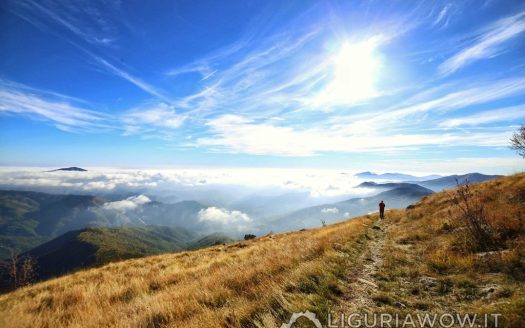 Val Nervia - Parco Naturale