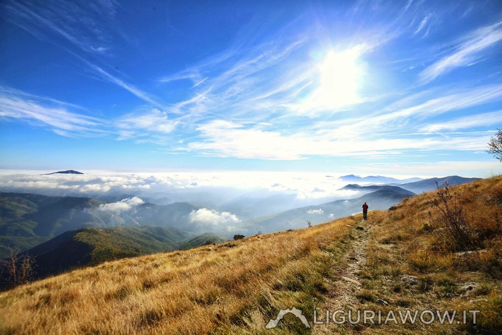 Val Nervia - Parco Naturale