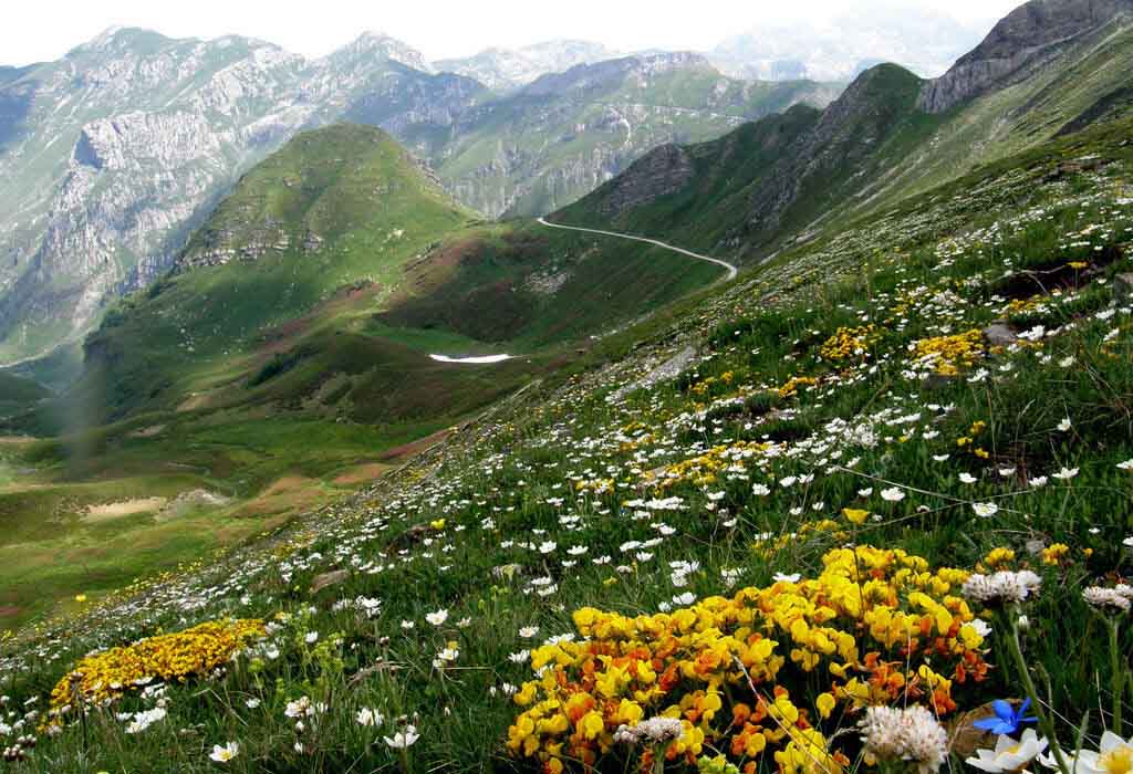 Alta Via del Sale