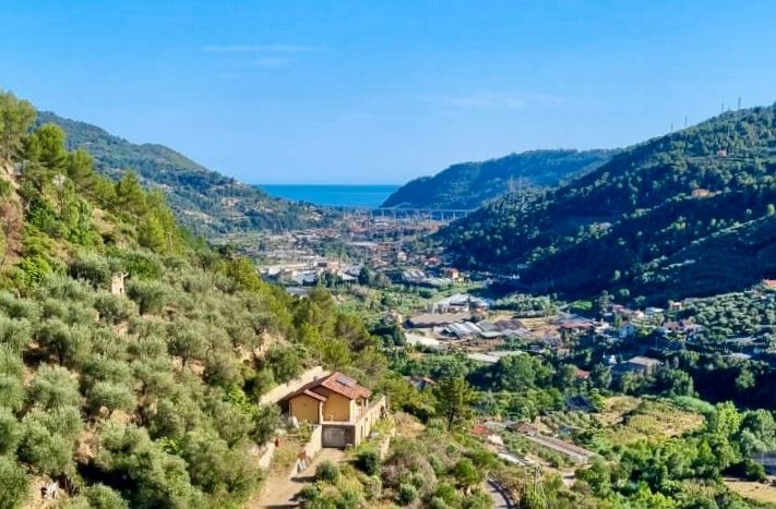 Dolceacqua DA 923 TERRA ITALIA