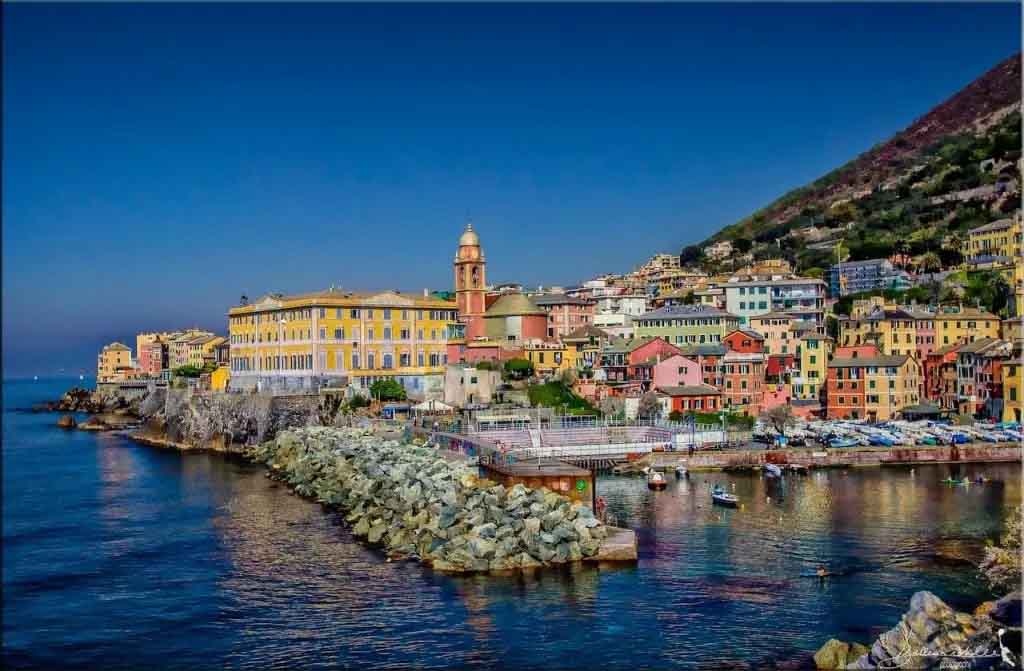 Nervi