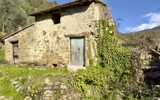 Rural property for sale in Apricale / AP 961