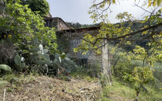 Plot of land for sale in Dolceacqua / DA 966