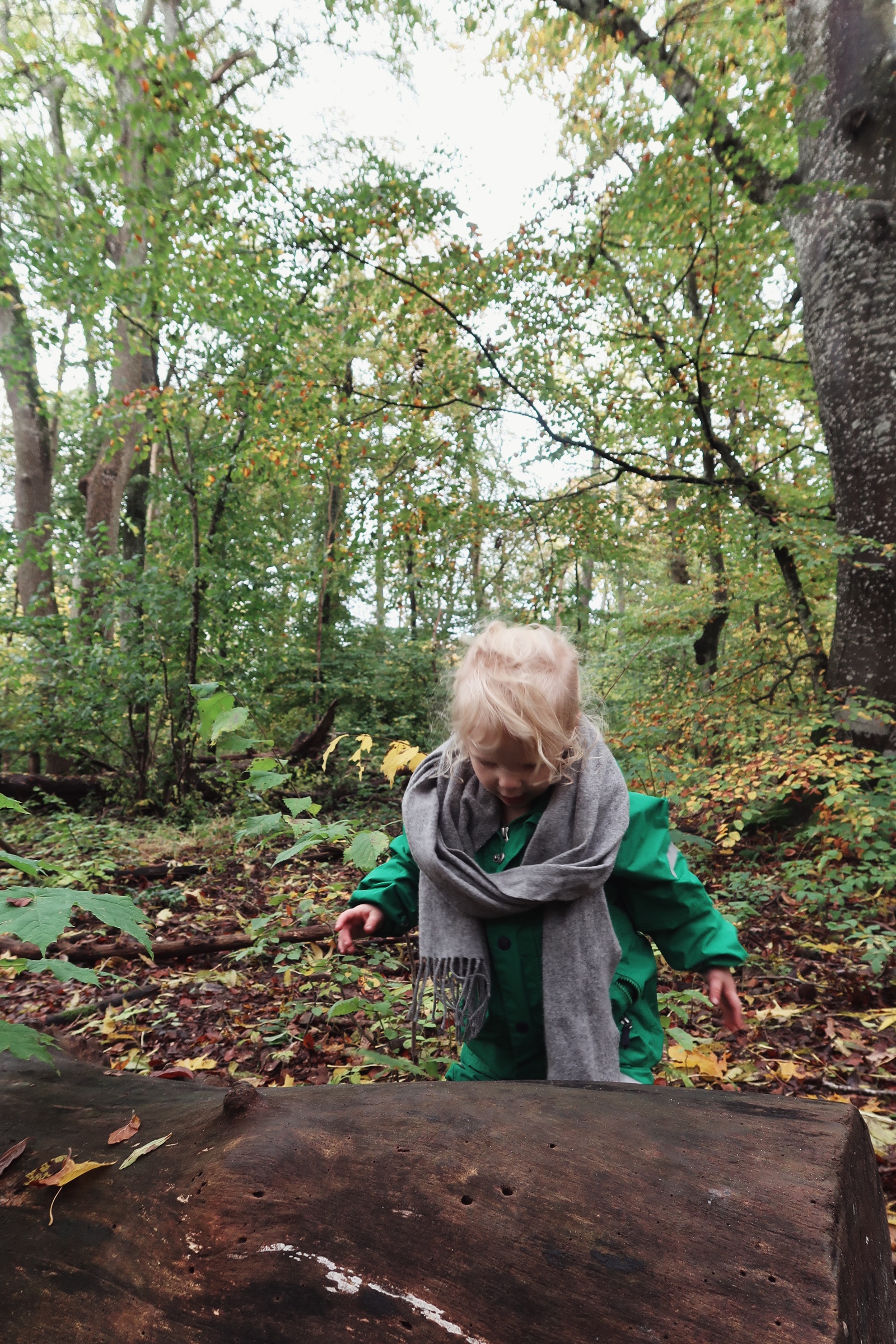 Lek med barnen i Dalby Söderskog