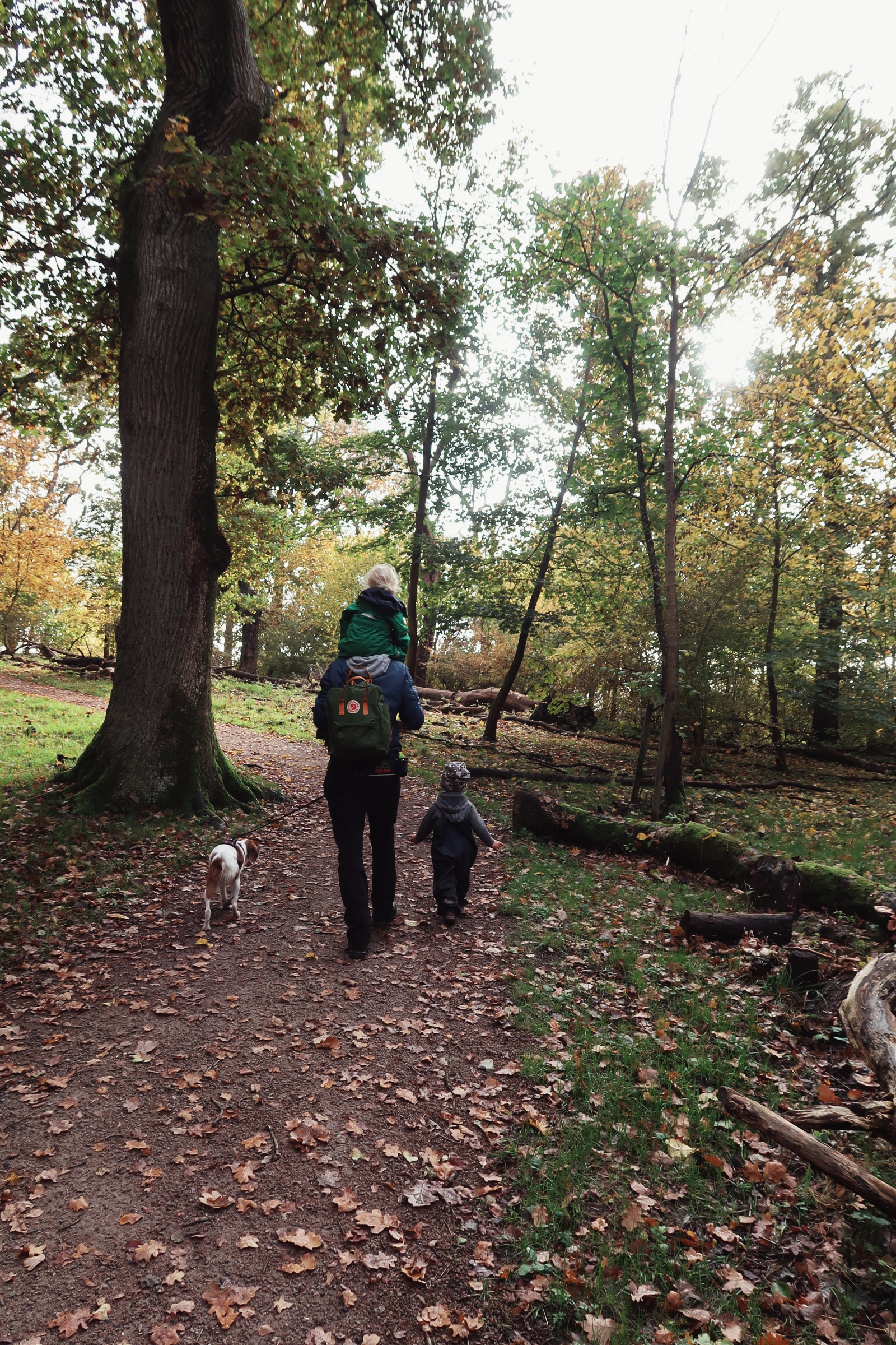 Lek med barnen och Lilly i Dalby Söderskog