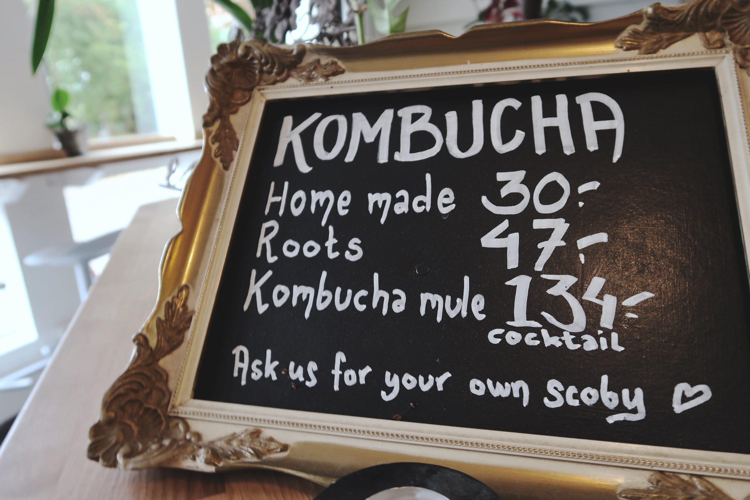 Kombucha 