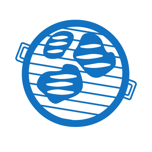 Steking Kamado grill