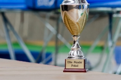 Elbepokal_1013_00014