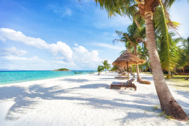 Phuket Quarantine Hotels Phuket Thailand