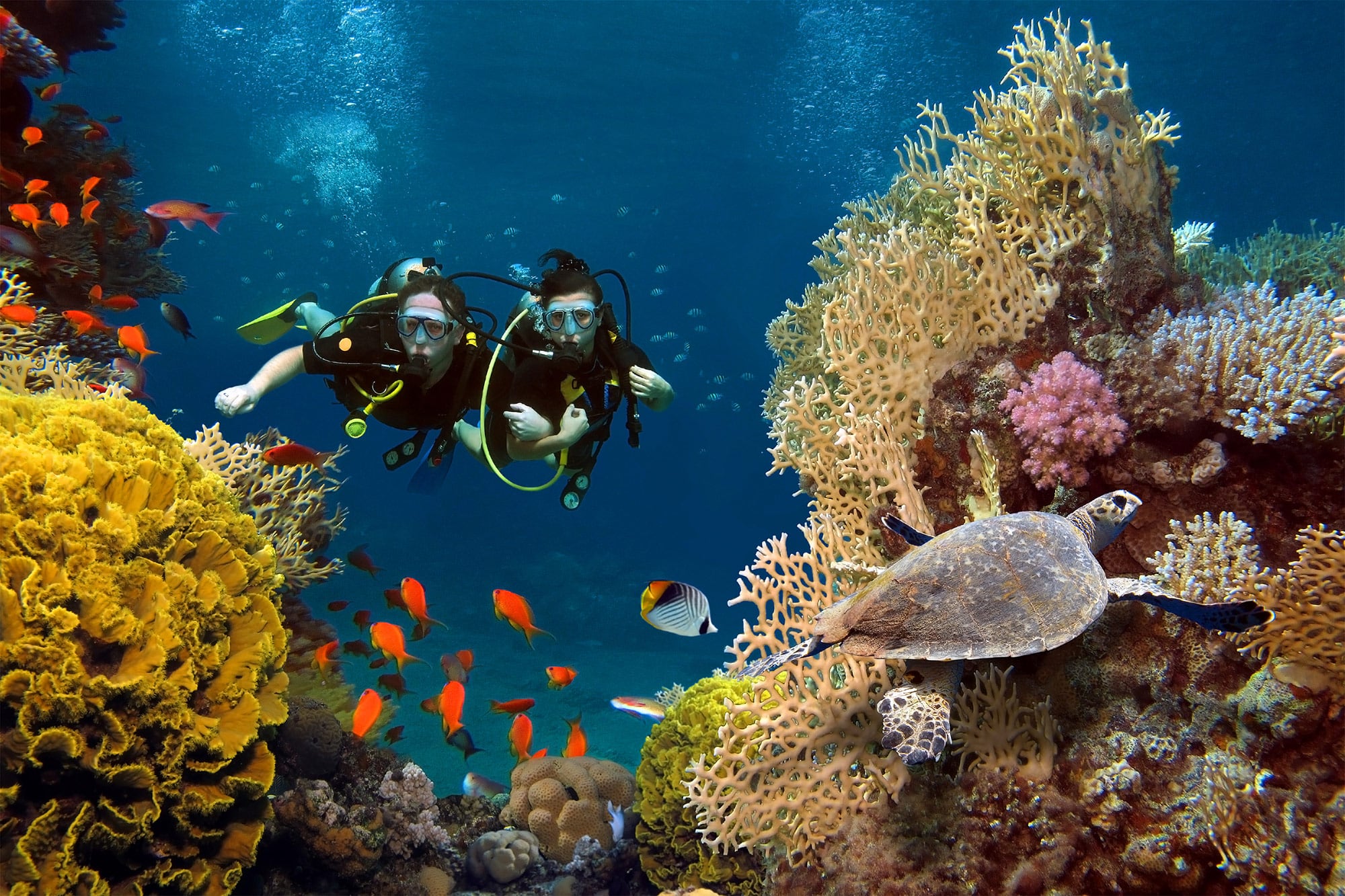 Scuba Diving in Phuket Thailand