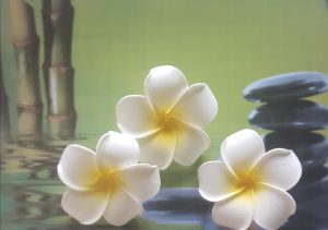 Thai massage Herning