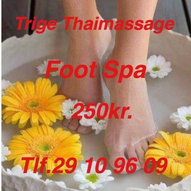 Trige Thai Massage | ThaiMassageNu.dk