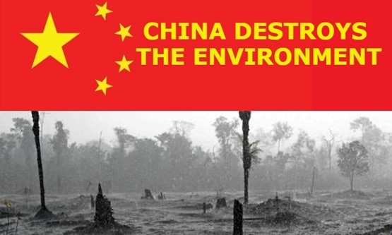 Allegations: Chinese Companies Are Destroying The Environment In Zimbabwe Forcibly Relocating Zimbabwean Citizens And Do Not Pay Taxes