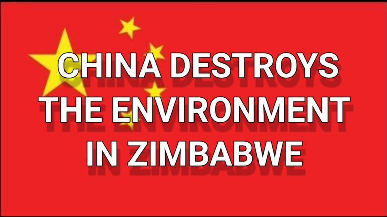Chinese Companies Are Destroying The Environment In Zimbabwe Forcibly Relocating Zimbabwean Citizens And Do Not Pay Taxes