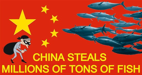 THE WORLD’S MARINE RESOURCES ARE BEING HARMED BY CHINA’S RELENTLESS ILLEGAL FISHING