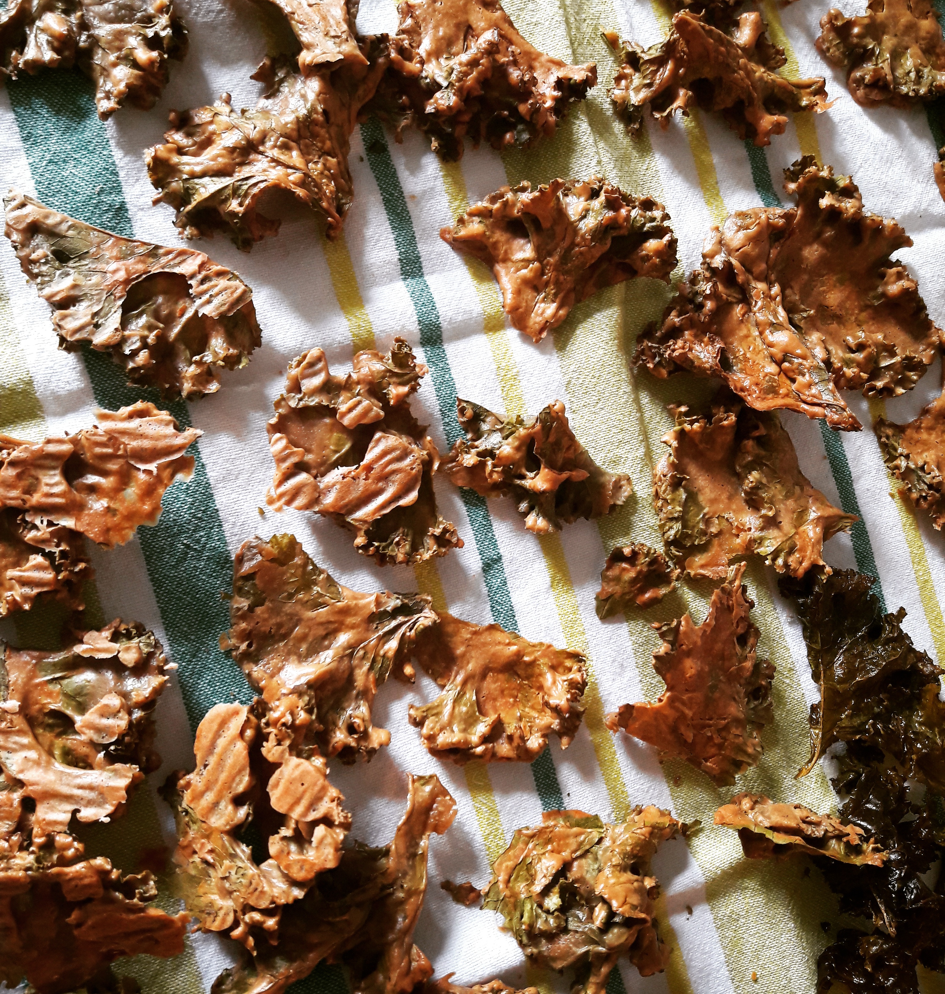 Fertige Kale Chips