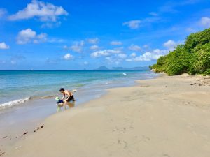 Das türkisblaue Meer und der unberührte Strand war jeden Moskitostich wert - Baden auf Martinique am Anse Mustique