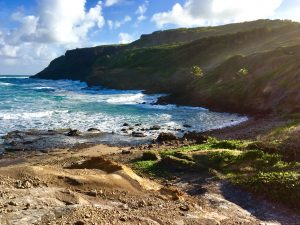 Wandern auf Martinique - der Rundweg Caravelle ist perfekt dafür