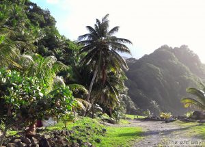 Grand Rivère: Endstation für das Auto, Start für eine tolle Wanderung auf Martinique