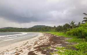 Fit auf Martinique mit einem Ausflug nach Drand Macabou