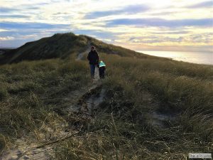 Ein Spaziergang auf den Dünen hält fit an der Nordsee in Dänemark